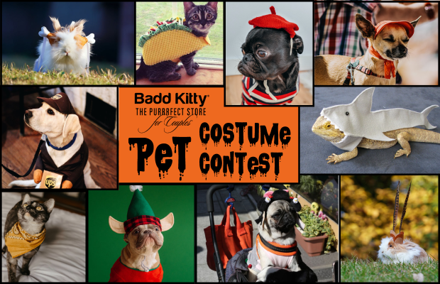 Share Your Pet’s Costume to Win $250 + a Badd Kitty Basket Share Your Pet’s Costume to Win $250 + a Badd Kitty Basket