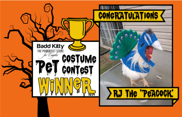 Congrats to Rebecca of Summerville, Winner of $250 + a Gift Basket Congrats to Rebecca of Summerville, Winner of $250 + a Gift Basket