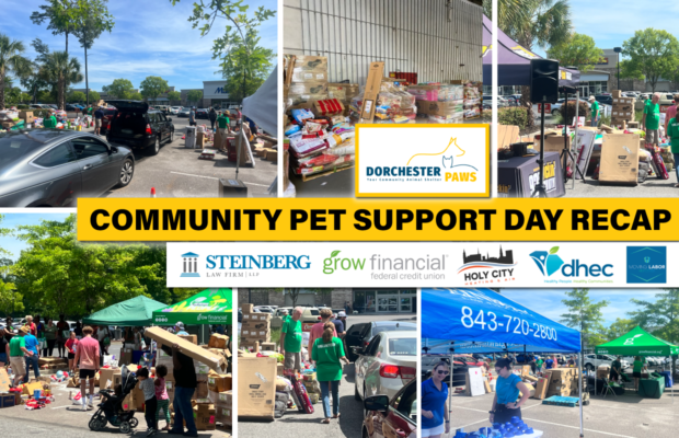 RECAP: Community Pet Support Day – June 18, 2022 RECAP: Community Pet Support Day – June 18, 2022