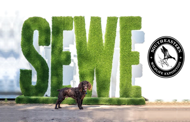 Feb. 13-15: Dock Dogs, Art, Wildlife, Herding Demos, Vendors & More