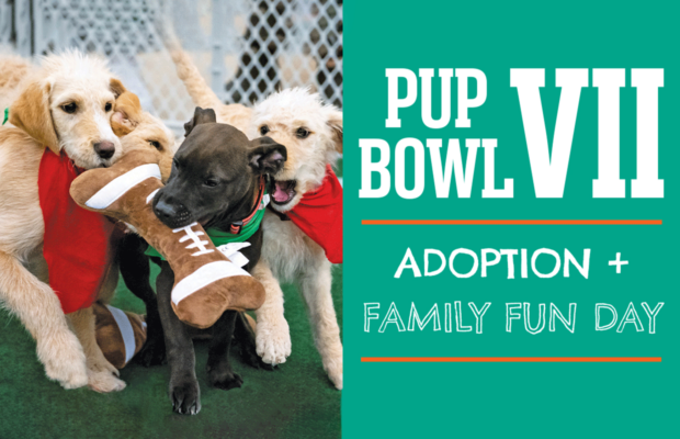See You @ Pup Bowl: The Cutest Football Game Ever – 2/10