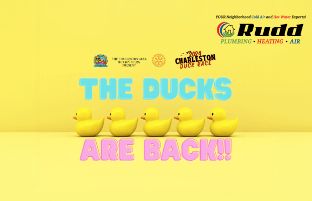 It’s Duck Season: Adopt a Duck for a Chance to Win $10k It’s Duck Season: Adopt a Duck for a Chance to Win $10k