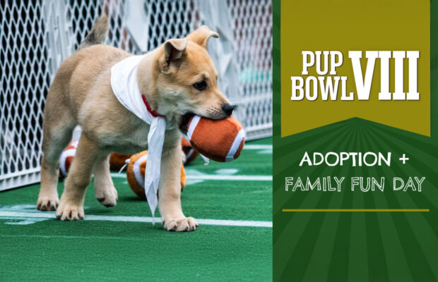 2/8: Tickets on Sale for the Fluffiest Football Game Around