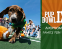 Advance Tix on Sale Now for Pup Bowl IX - Feb. 7