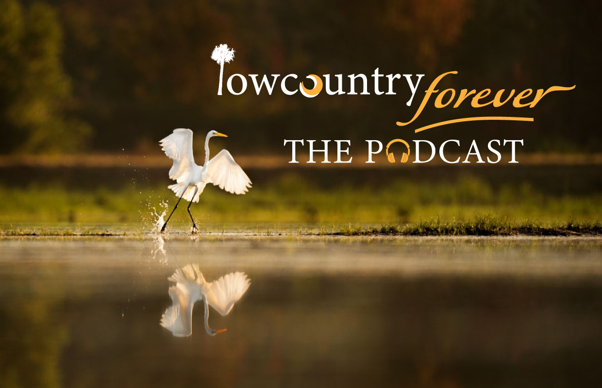 Lowcountry Forever Lowcountry Forever